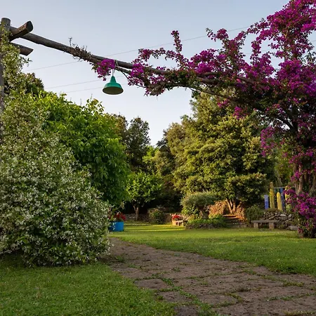 Vesuvian Glamping Ercolano